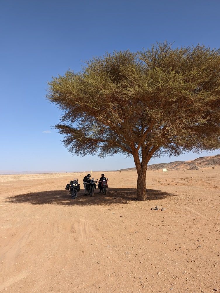 Tâter le sable du Sahara